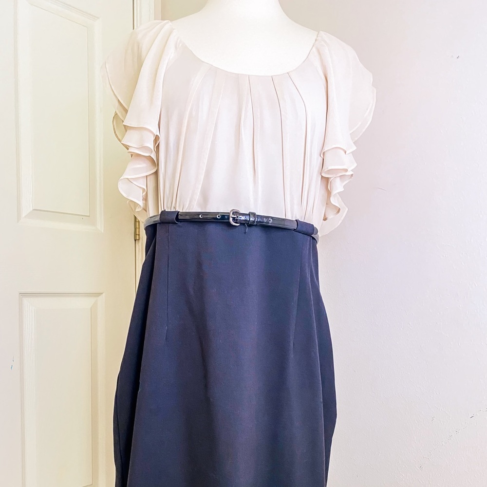 Calvin Klein Ruffle Sleeve Dress - Size 12